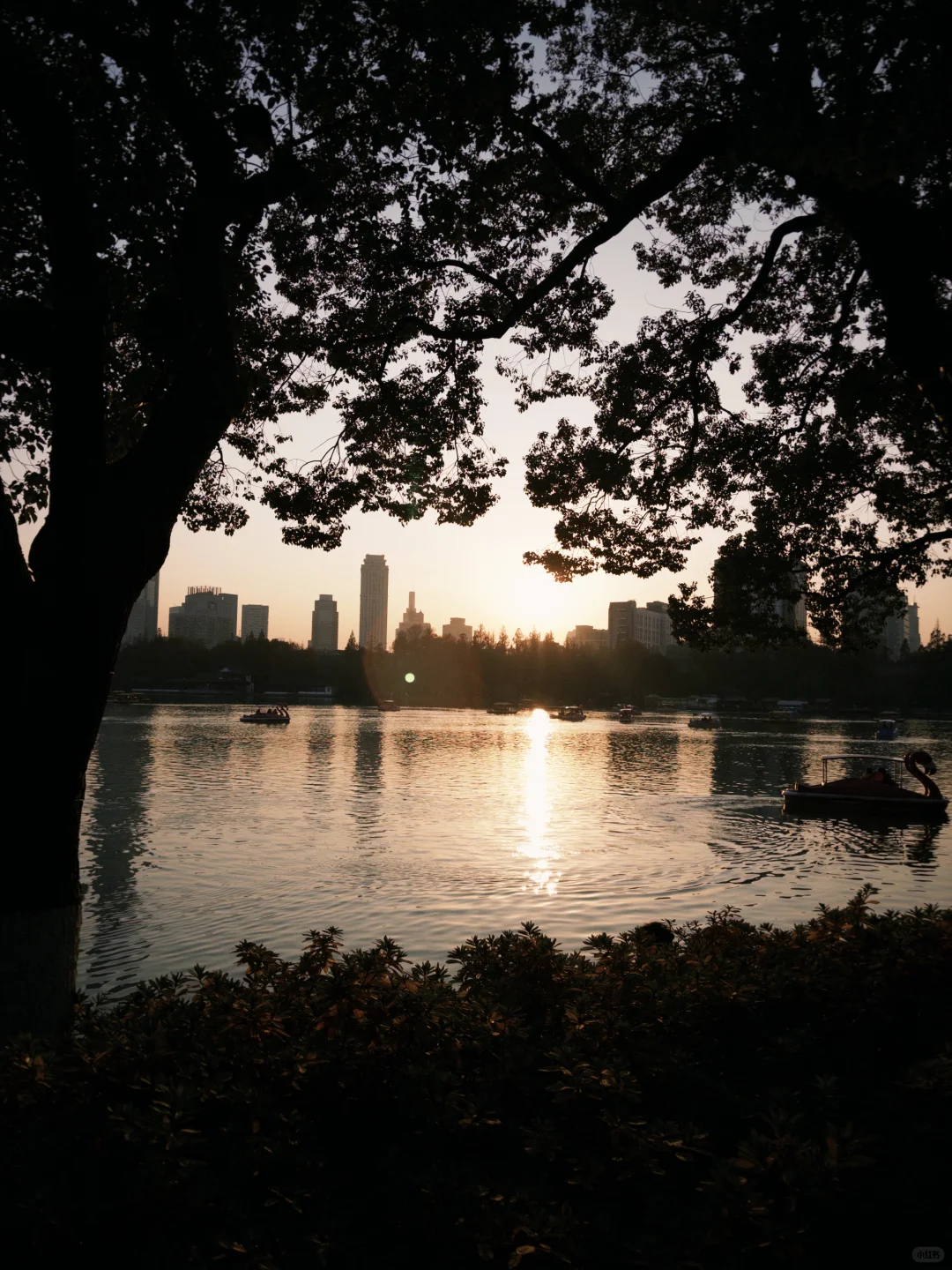 南京的秋天冷冷的🍂