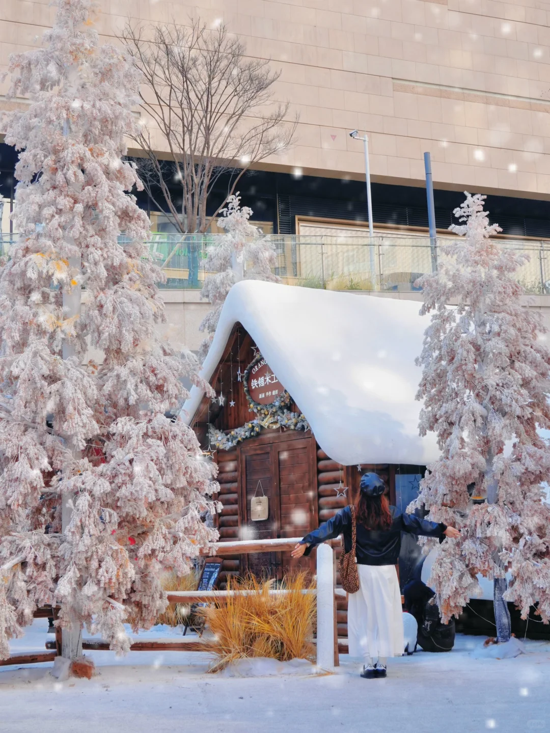 12.8实拍🍁苏州最新赏秋citywalk路线！！！！！
