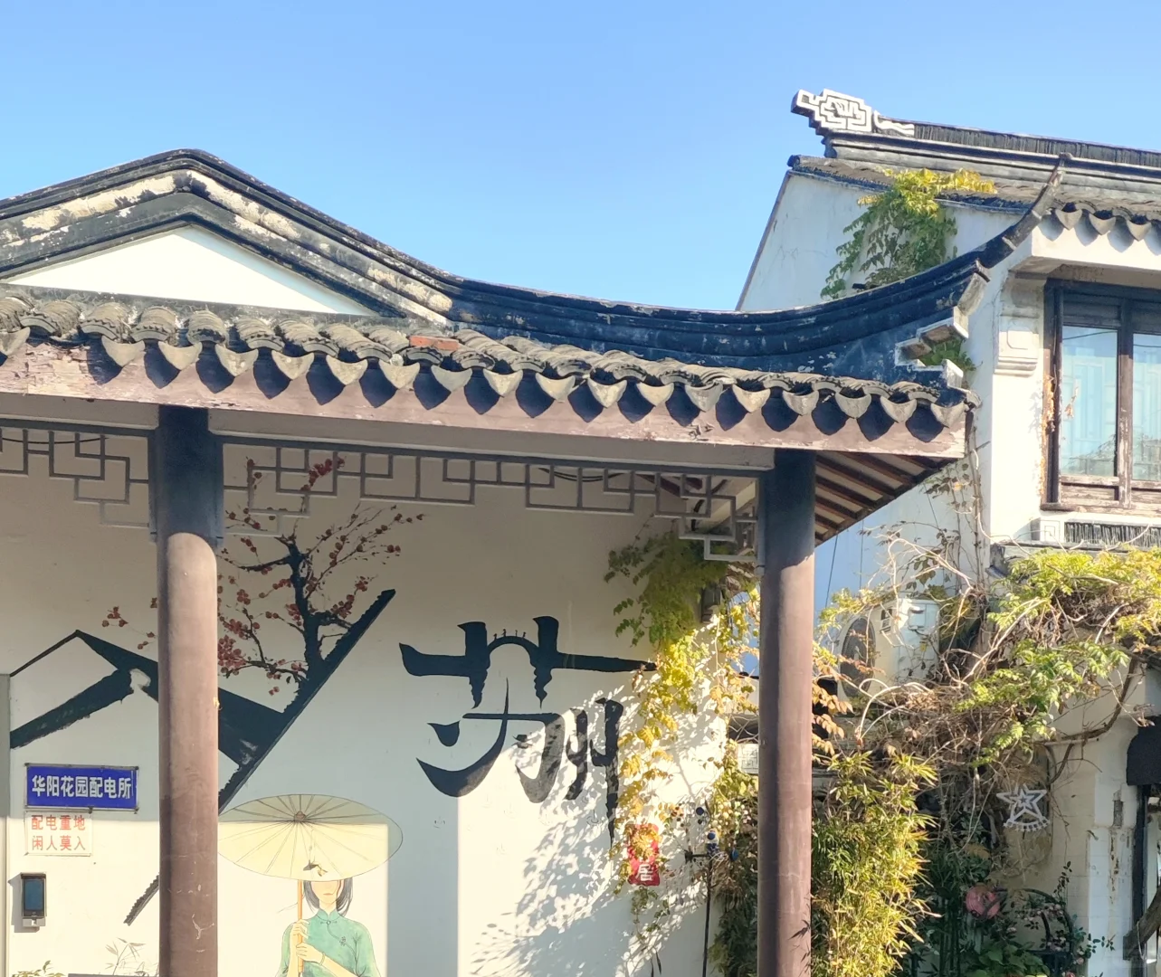 我在苏州的日子里