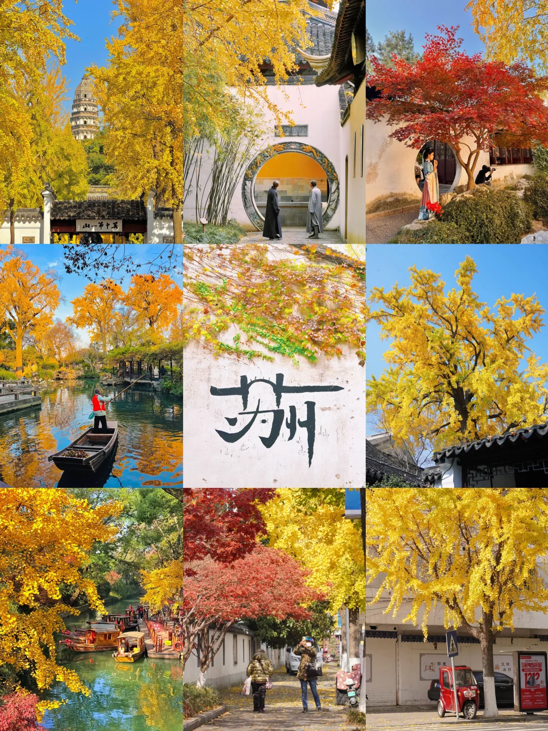 12.8实拍🍁苏州最新赏秋citywalk路线！！！！！