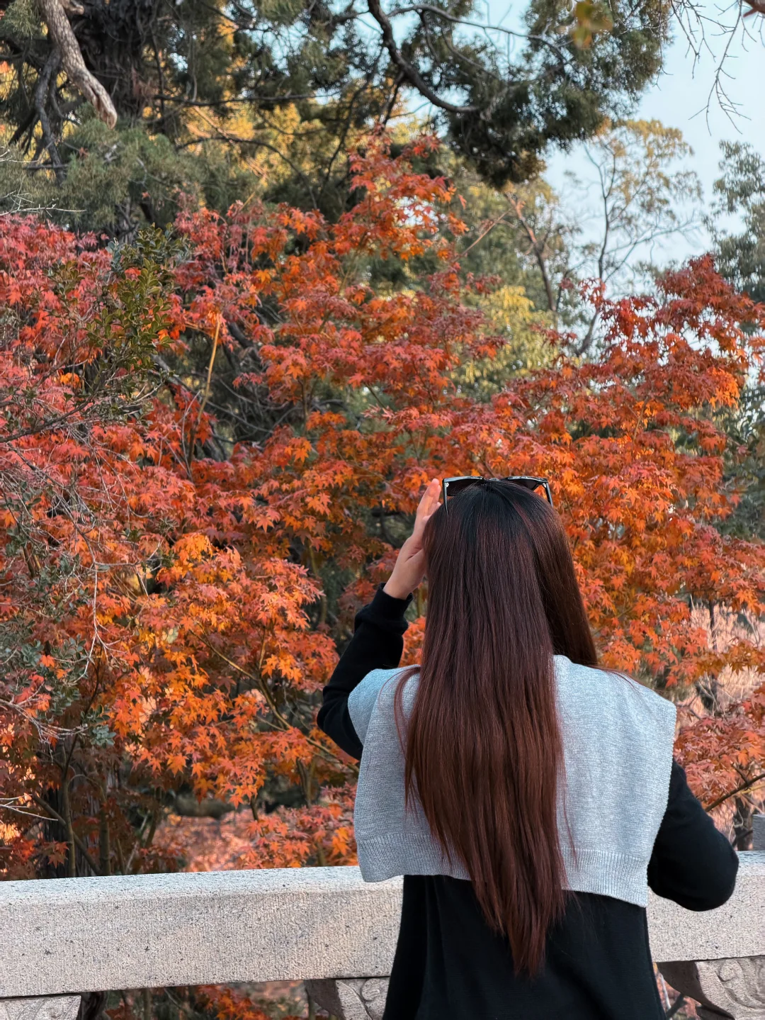苏州|顶级秋色在虎丘