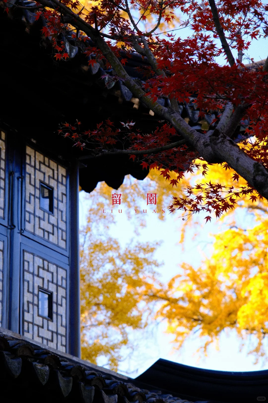 永远会被姑蘇的秋天惊艳！