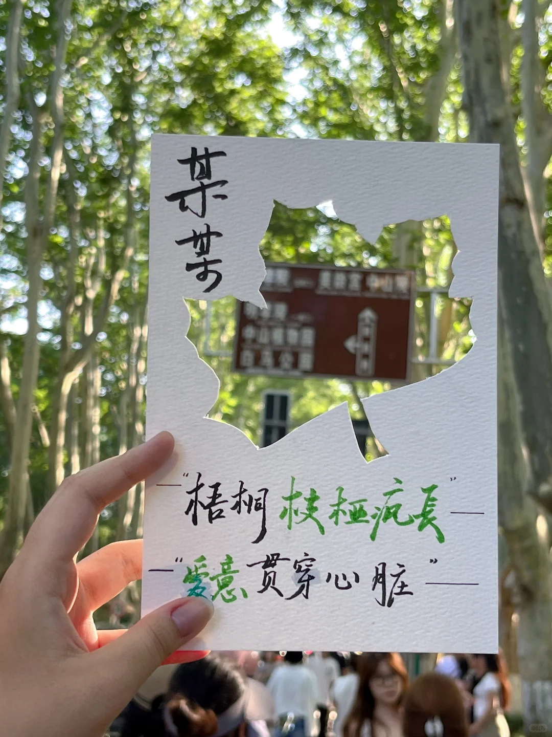 南京人的17岁夏天