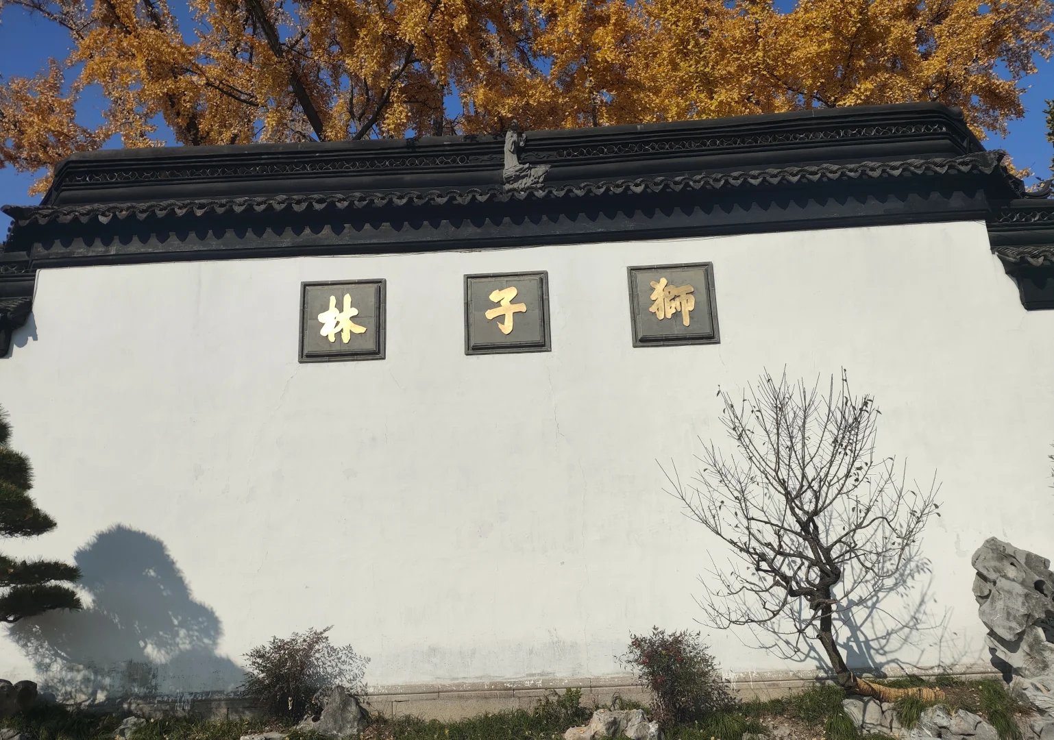 我在苏州的日子里