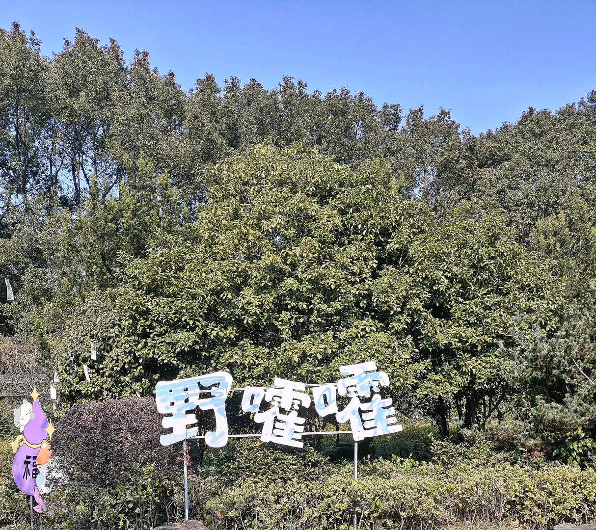 我在苏州的日子里