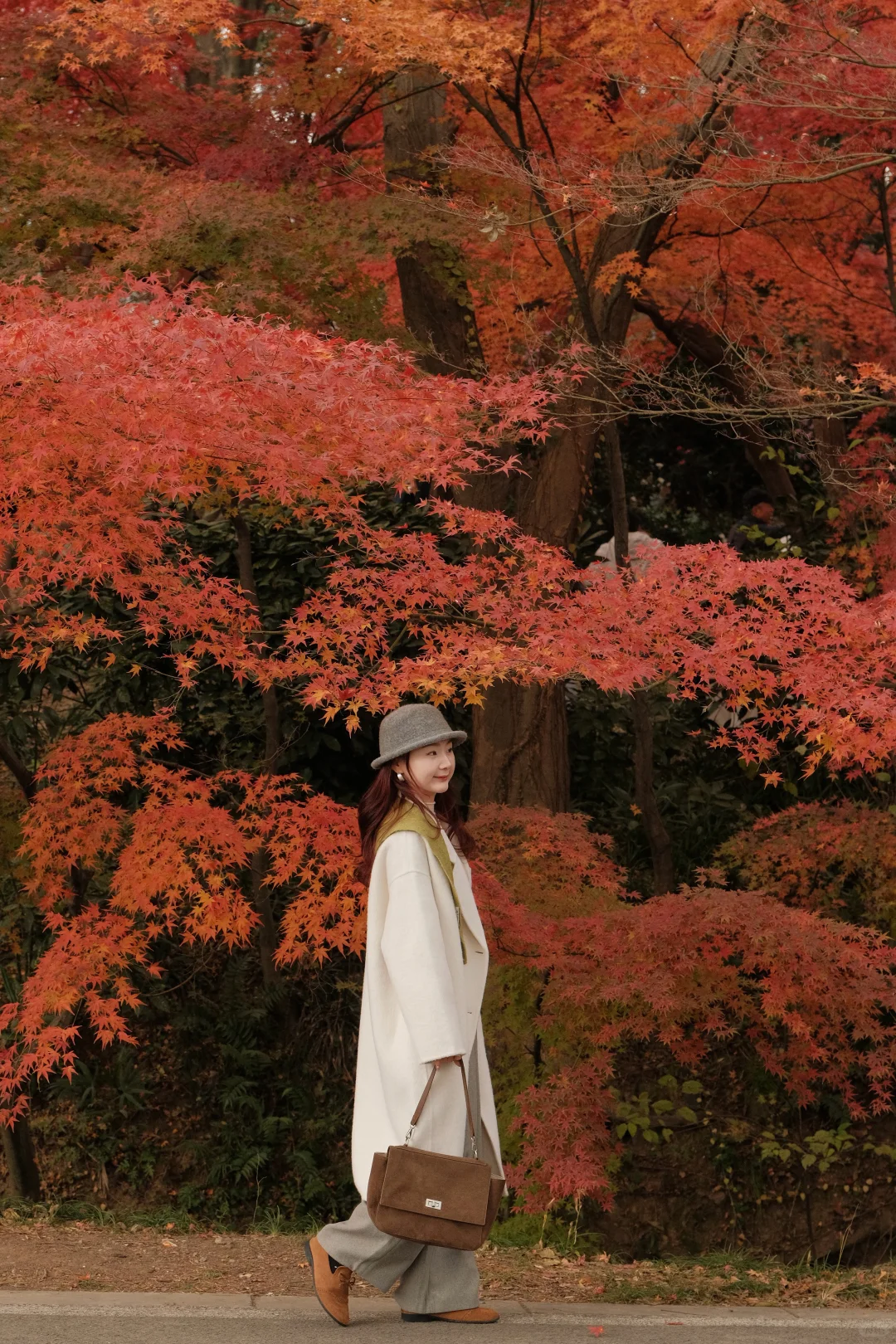 在南京看到了漂亮的红色枫叶🍁