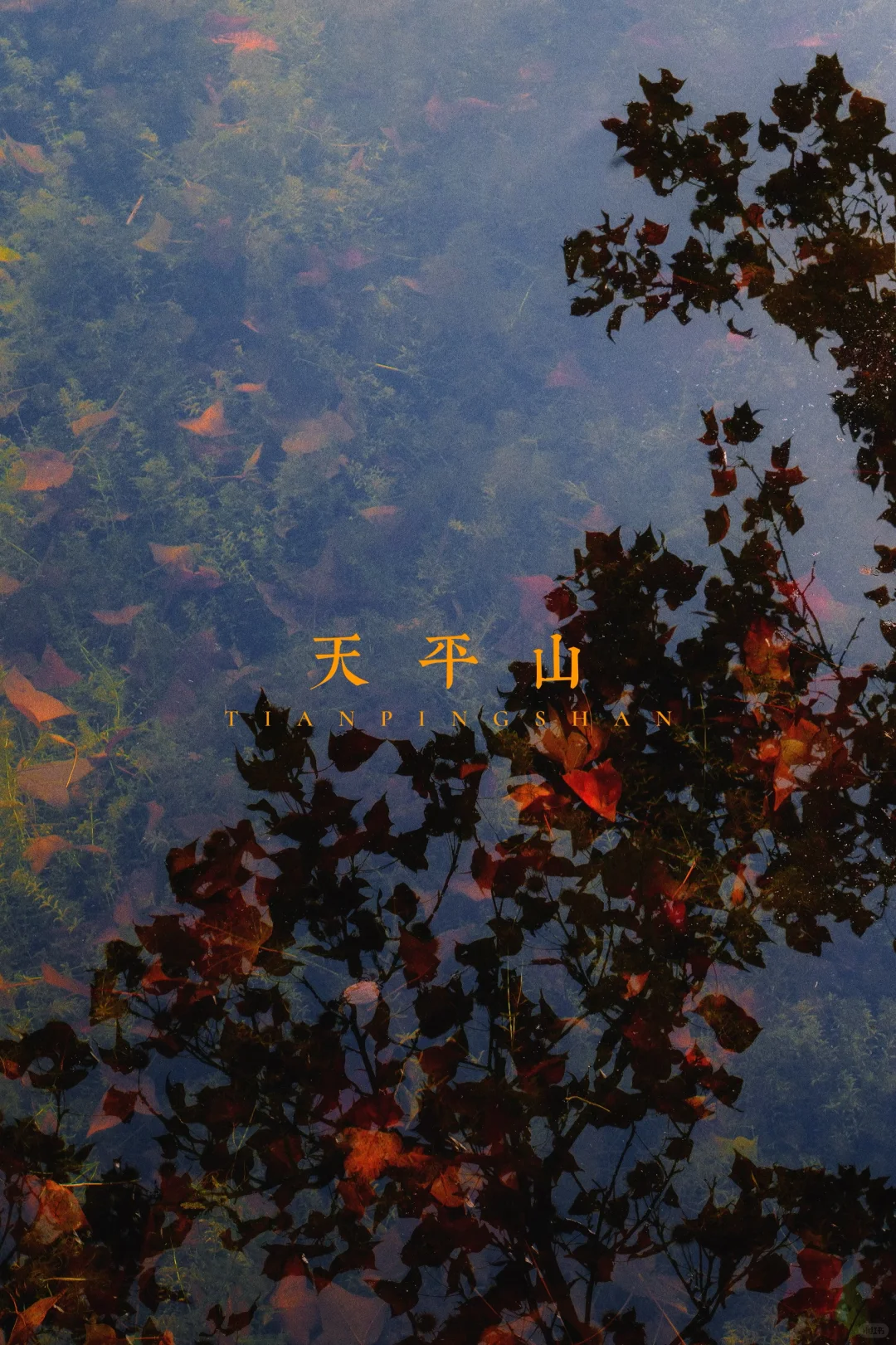 永远会被姑蘇的秋天惊艳！