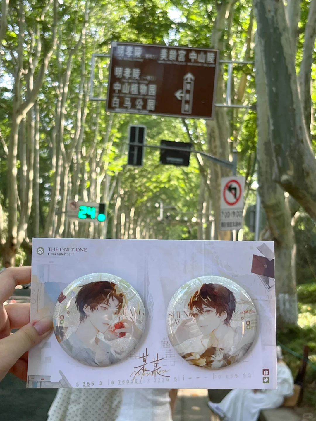 南京人的17岁夏天