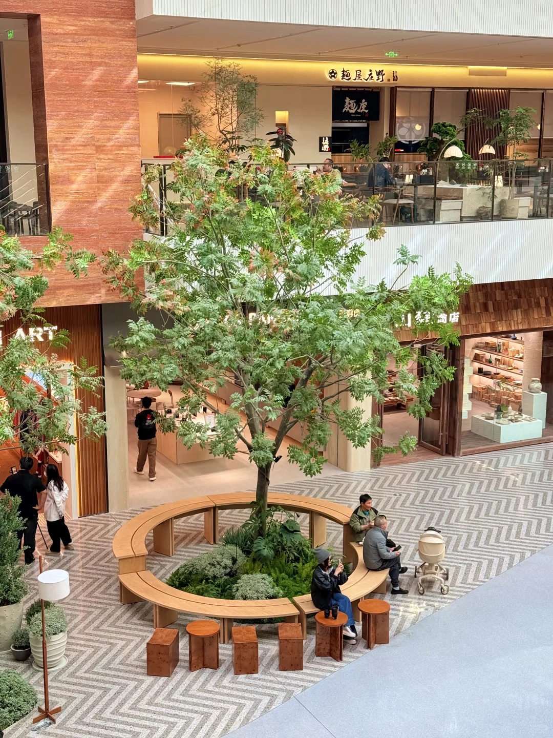 12.8实拍🍁苏州最新赏秋citywalk路线！！！！！