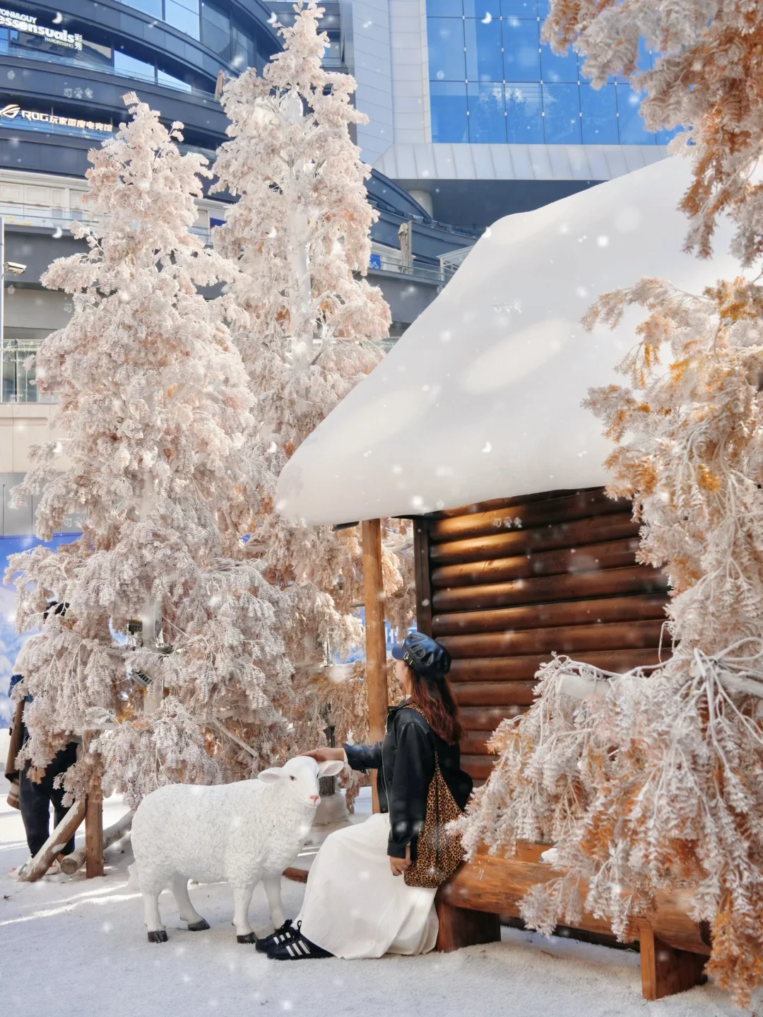 12.8实拍🍁苏州最新赏秋citywalk路线！！！！！