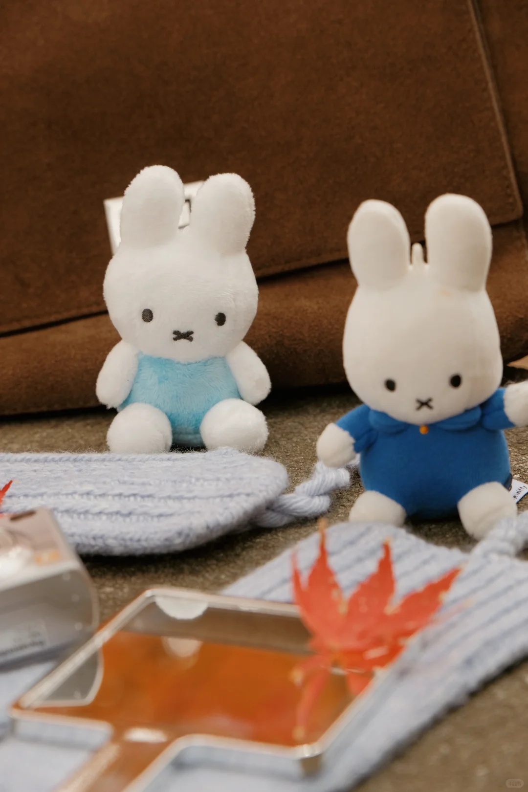 在南京看到了漂亮的红色枫叶🍁