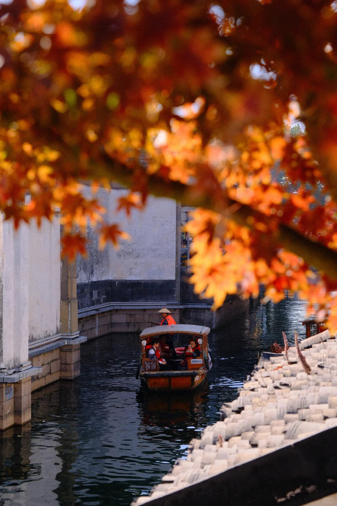 永远会被姑蘇的秋天惊艳！