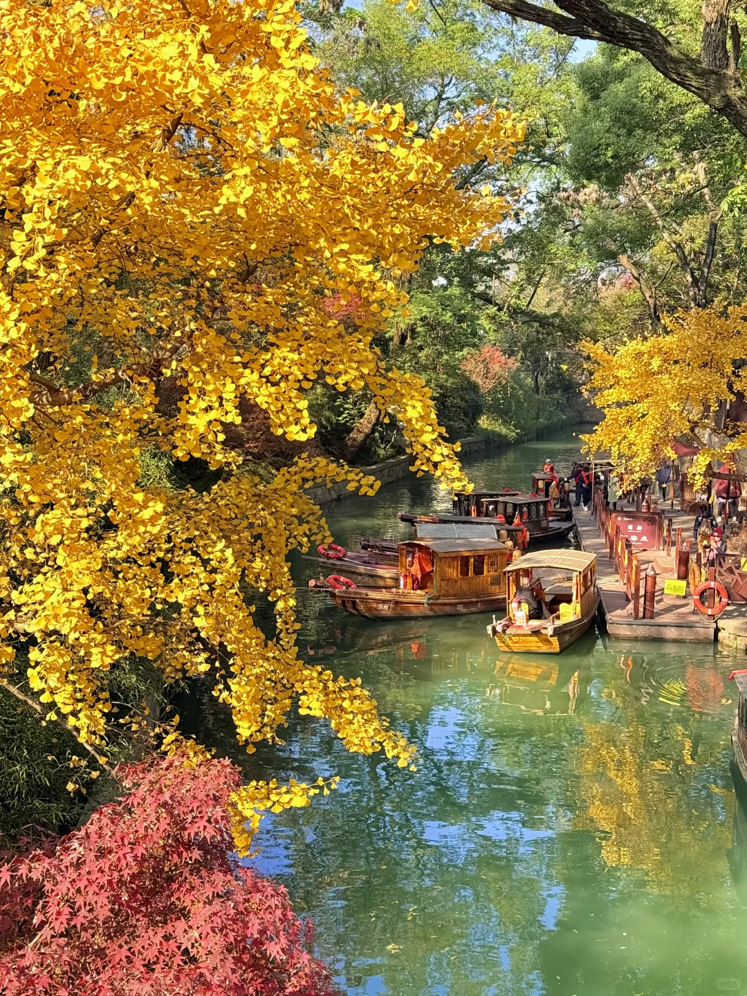 12.8实拍🍁苏州最新赏秋citywalk路线！！！！！
