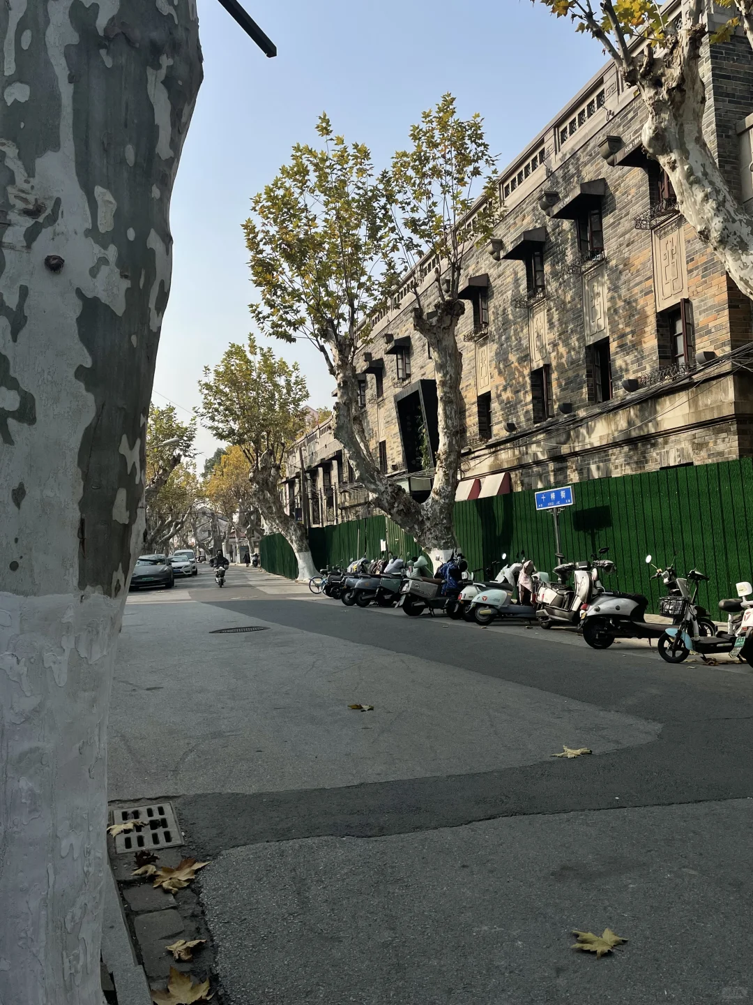 苏州最破碎感的一条路