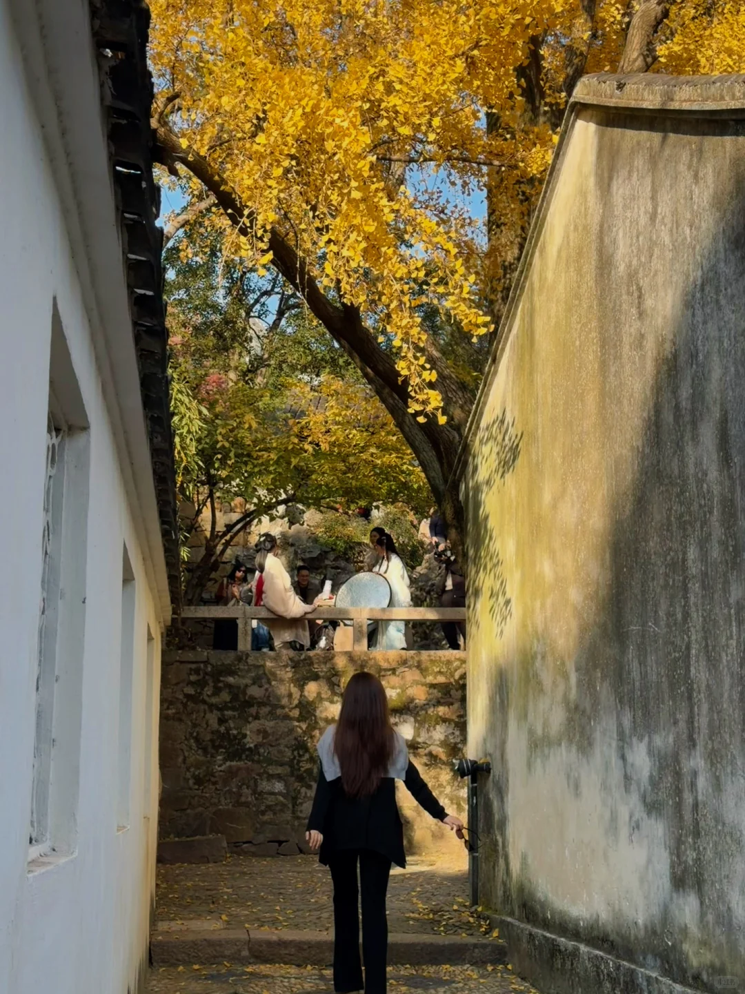 苏州|顶级秋色在虎丘