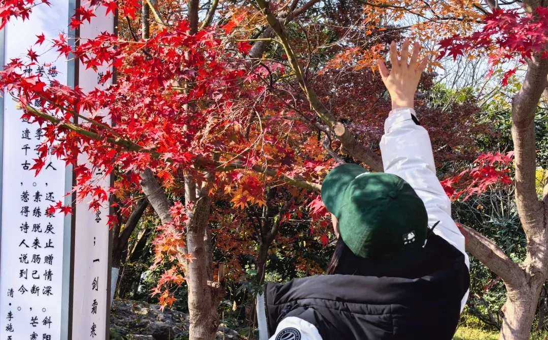 周末旅游|徐州吃喝玩乐攻略🔄