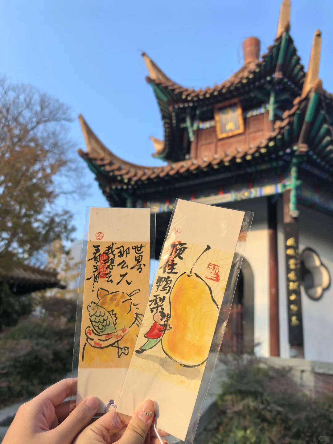 周末旅游|徐州吃喝玩乐攻略🔄