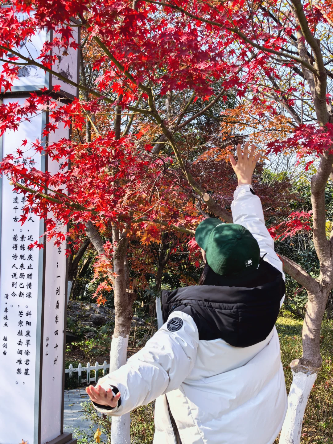 周末旅游|徐州吃喝玩乐攻略🔄