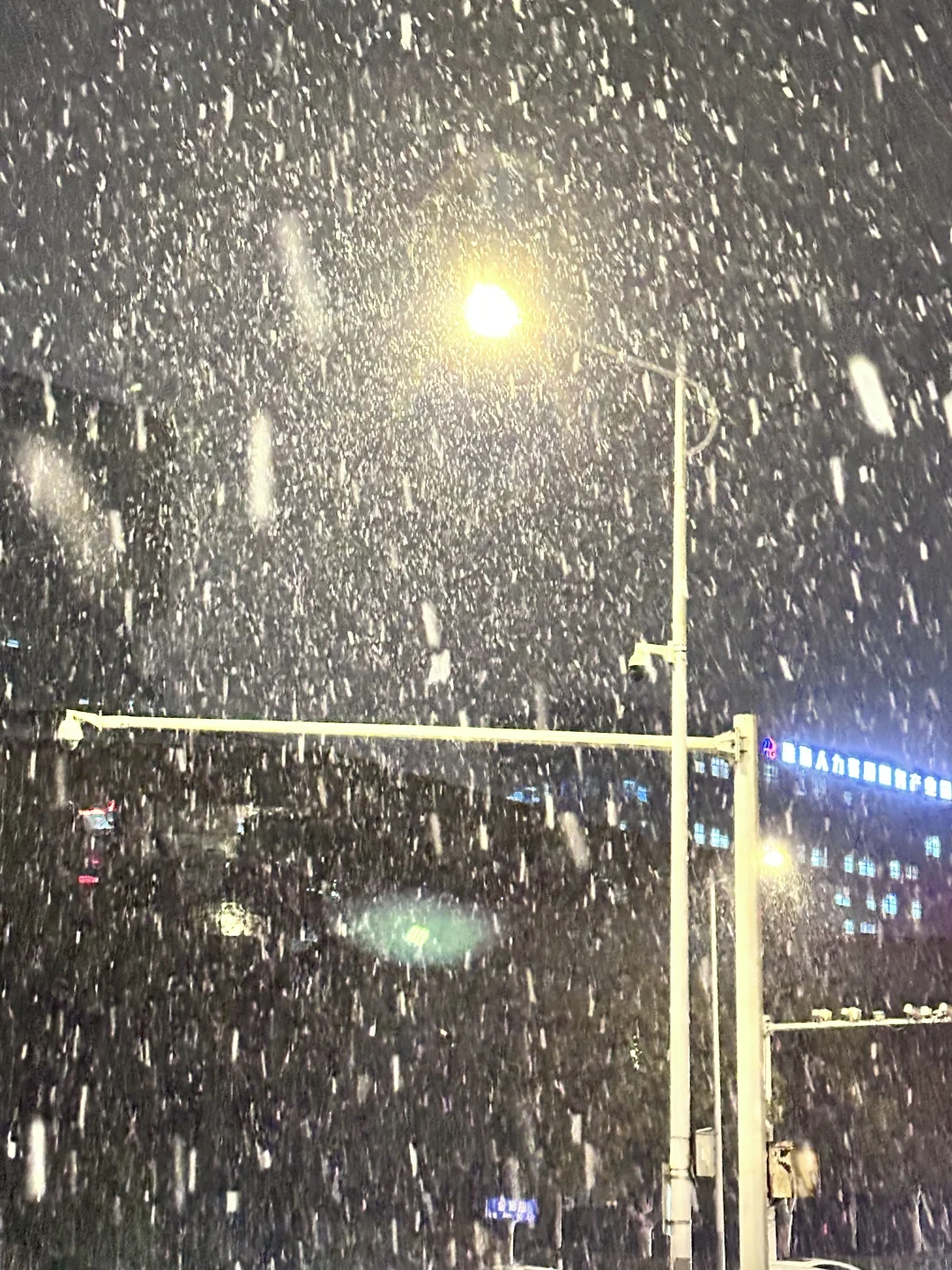 一出徐州东，被雪惊艳了