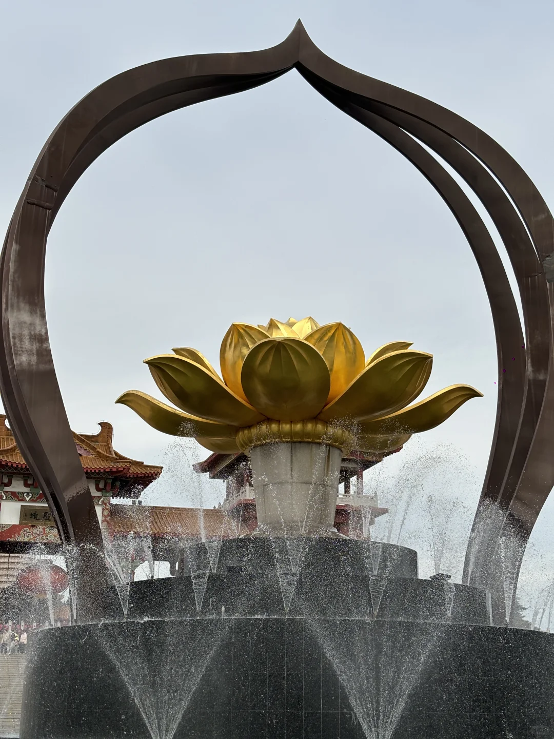 宝莲寺🪷打卡最全攻略来了！