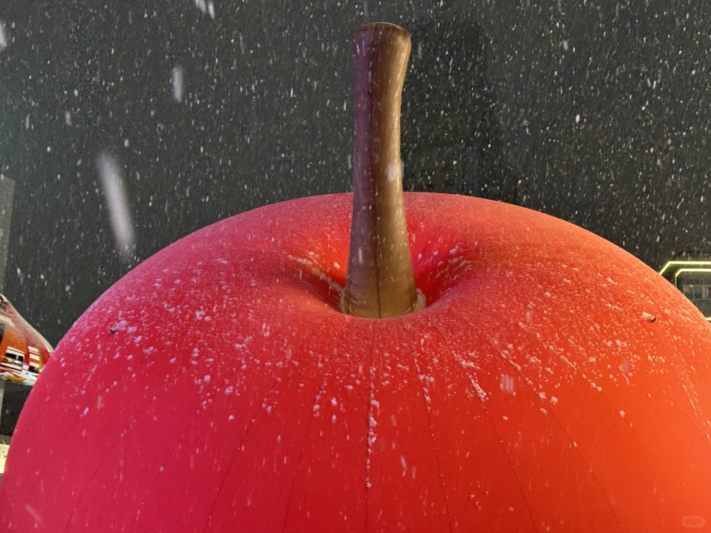 徐州人今天的朋友圈是不是都是下雪了❄️