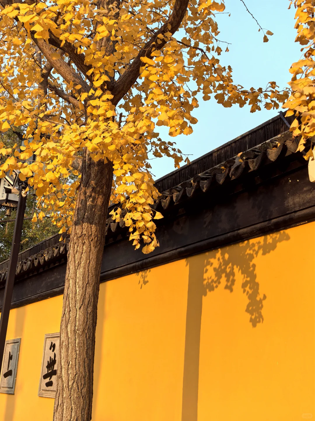 蘇州 下次还来！！