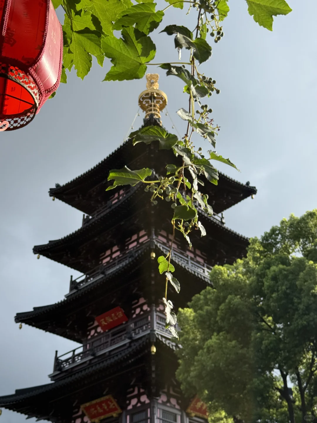 苏州｜📍姑苏城外寒山寺🎐雨后live图直出