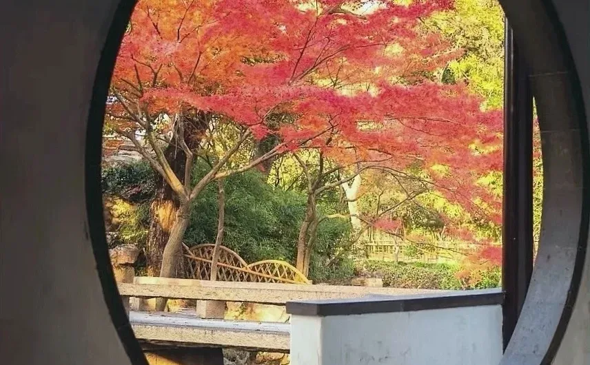 拙政园,别具一格的梧竹幽居亭