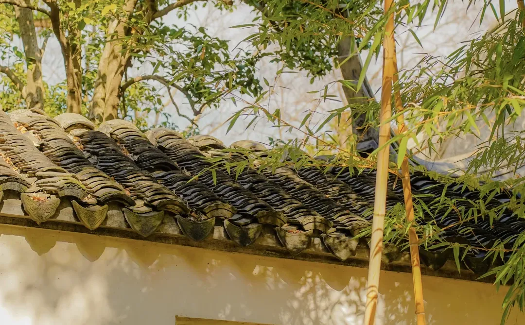 永远惊叹于老祖宗骨子里不灭的极致审美！！