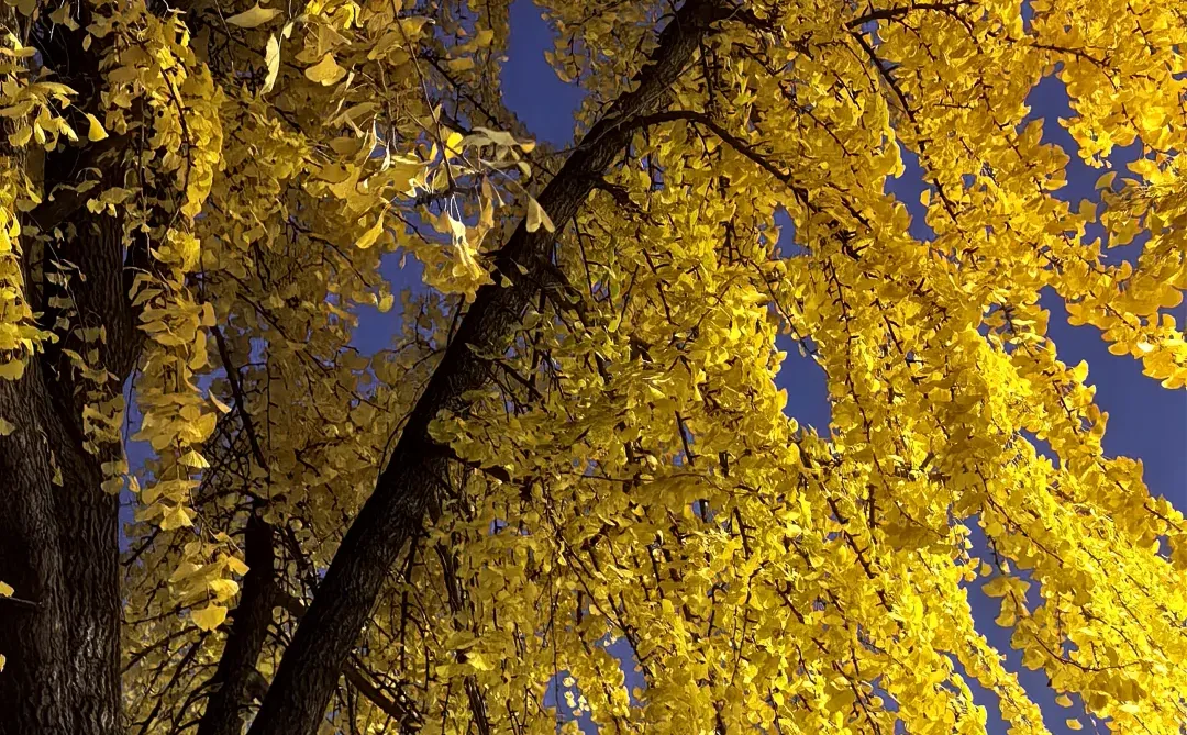 蘇州 下次还来！！