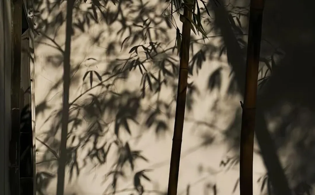 苏州是我还想去第二次的地方