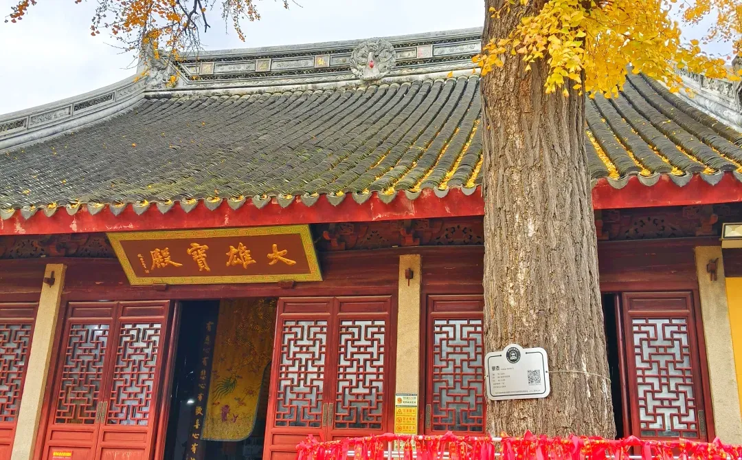 藏在苏州小巷里的浪漫