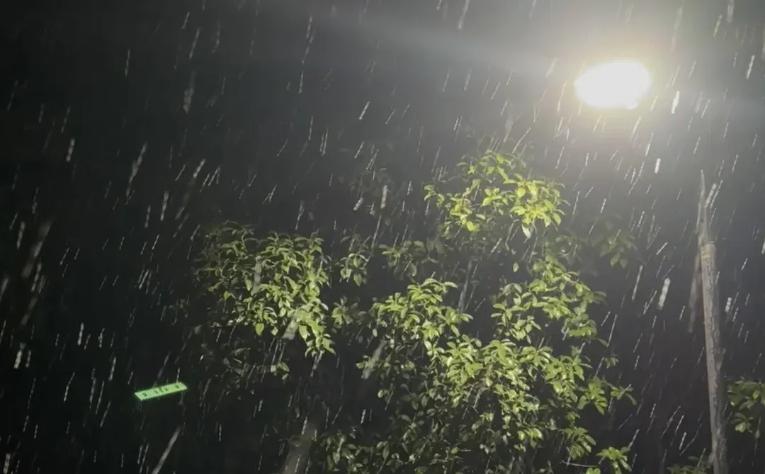 徐州下雪啦❄️看看你拍的雪吧～