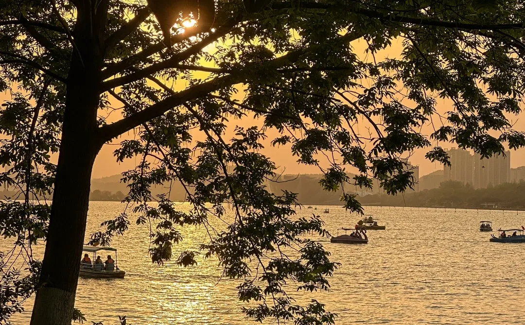 徐州是一场巨大的lalaland。。。