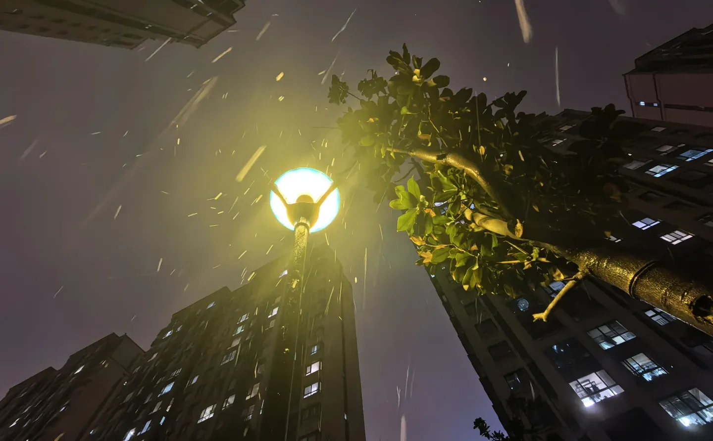 徐州今天的雪🌨️