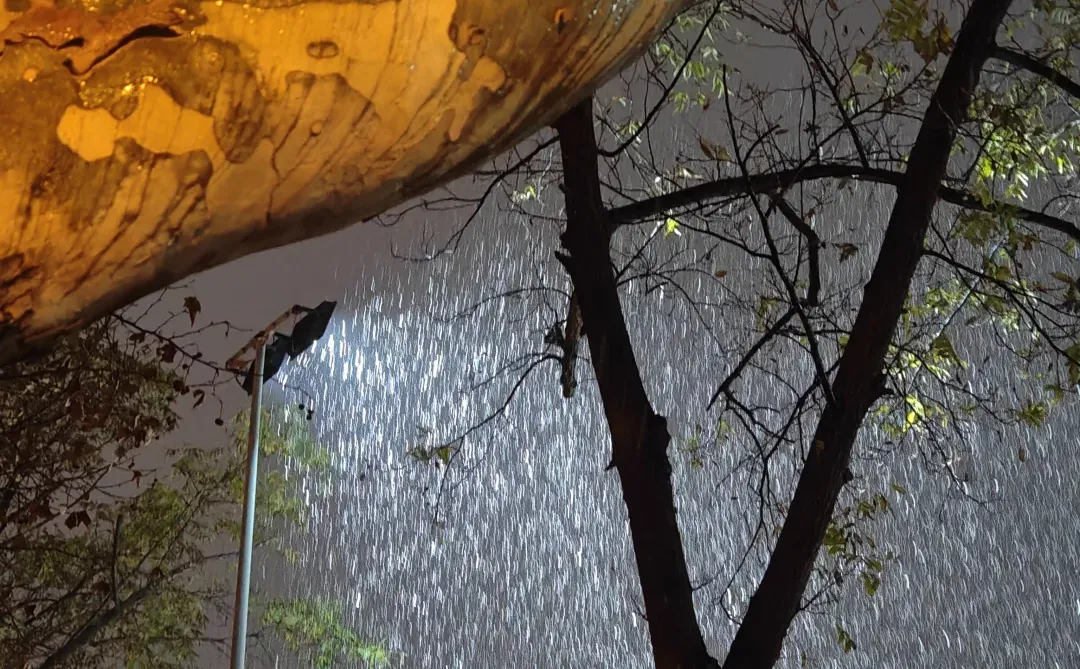 坐标jsnu，下雪啦☃️