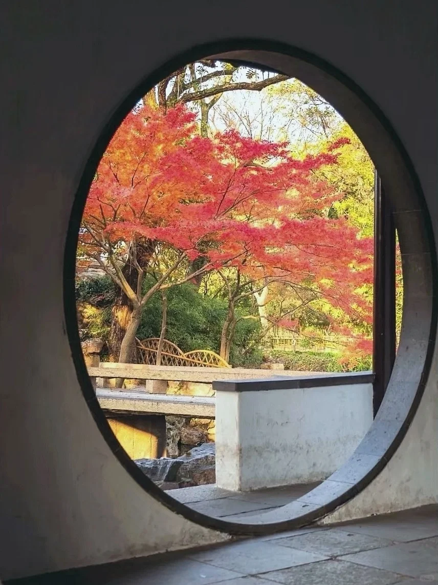 拙政园,别具一格的梧竹幽居亭