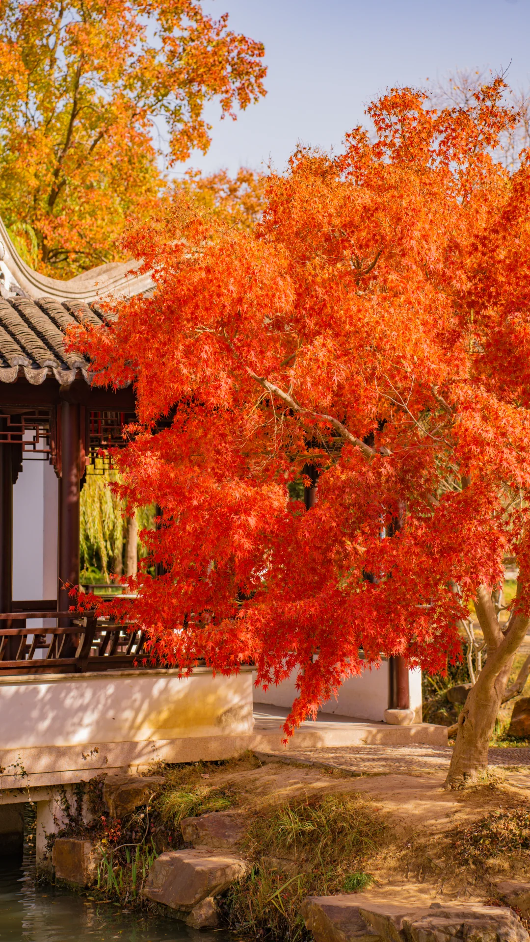 永远惊叹于老祖宗骨子里不灭的极致审美！！