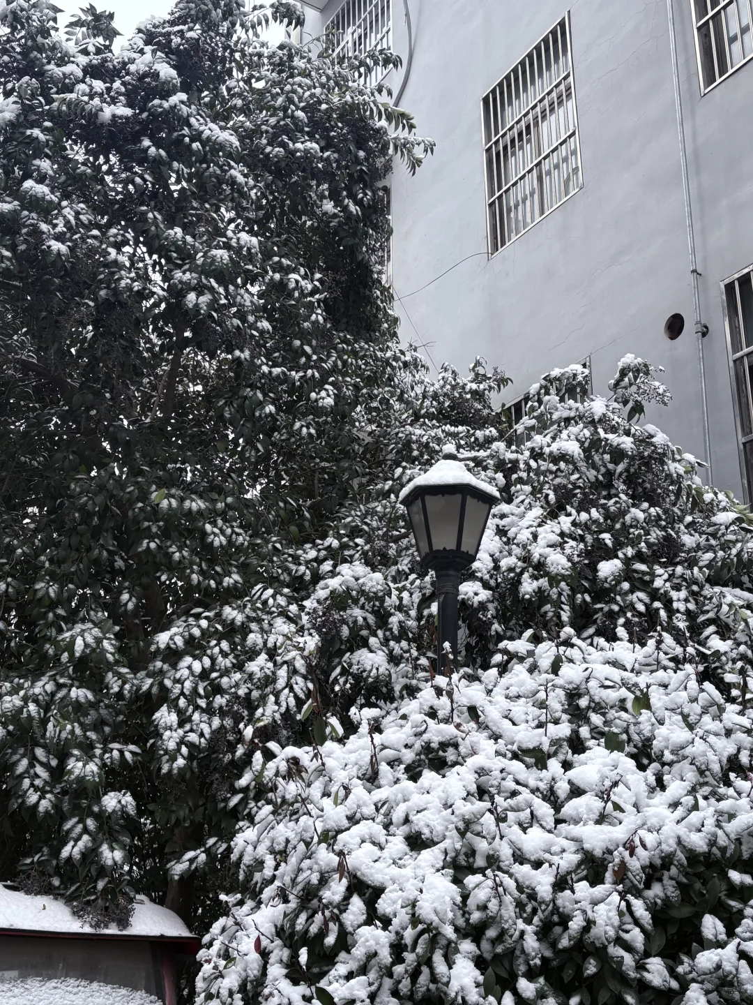 徐州的人工降雪