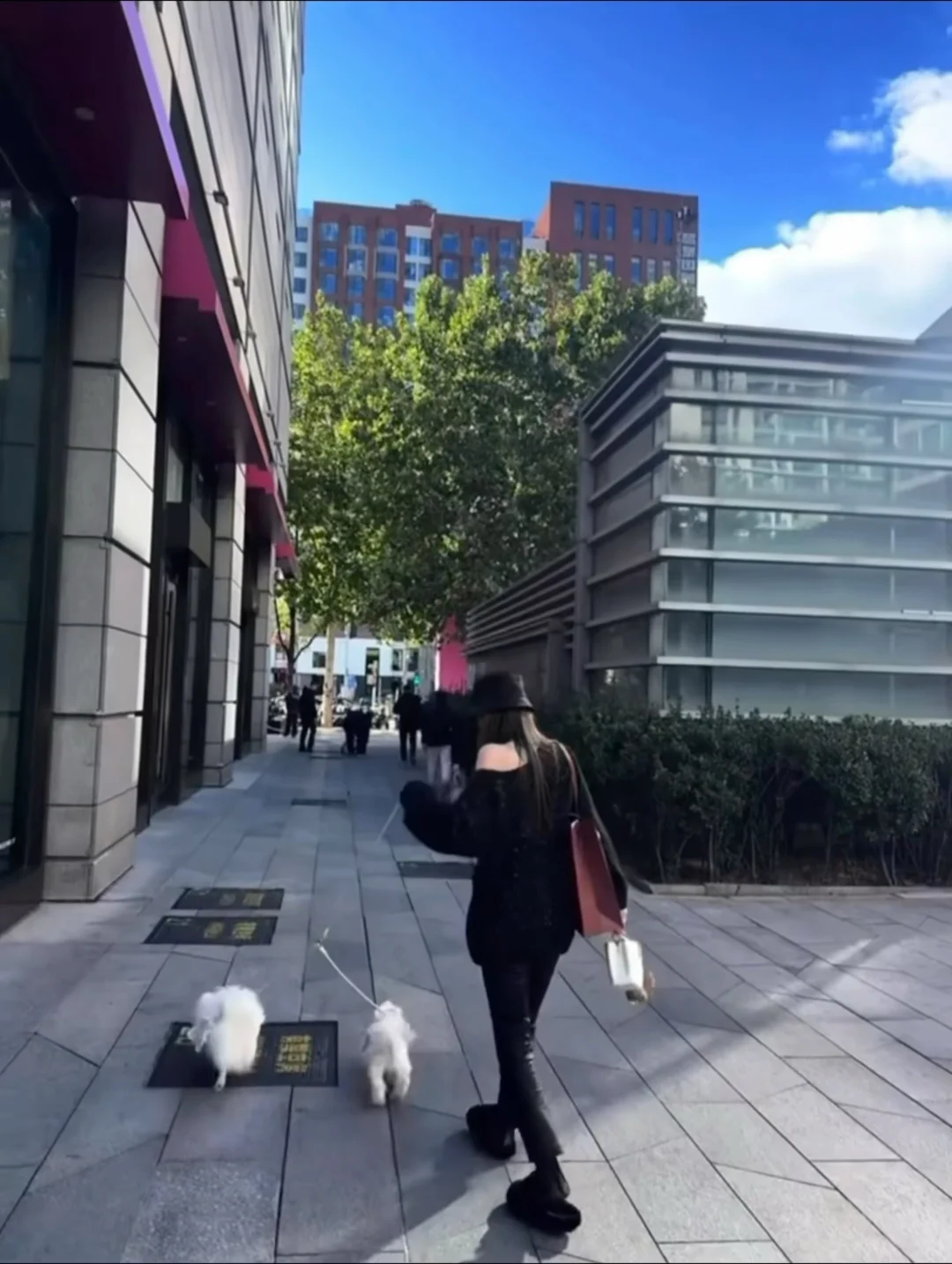 苏州是我还想去第二次的地方