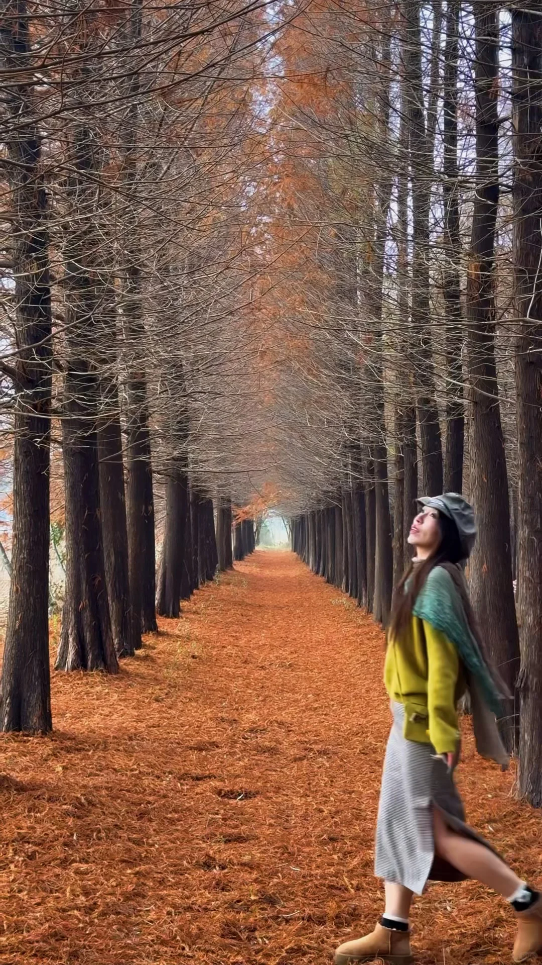 徐州私藏❗❗美到失语的水杉秘境谁懂啊～