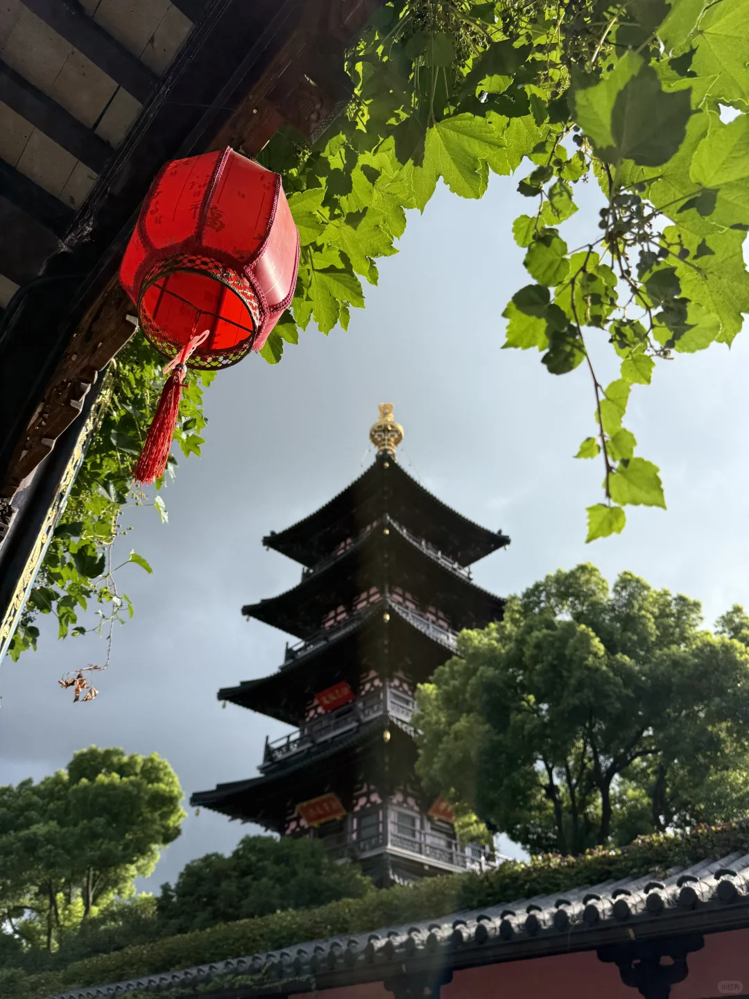 苏州｜📍姑苏城外寒山寺🎐雨后live图直出