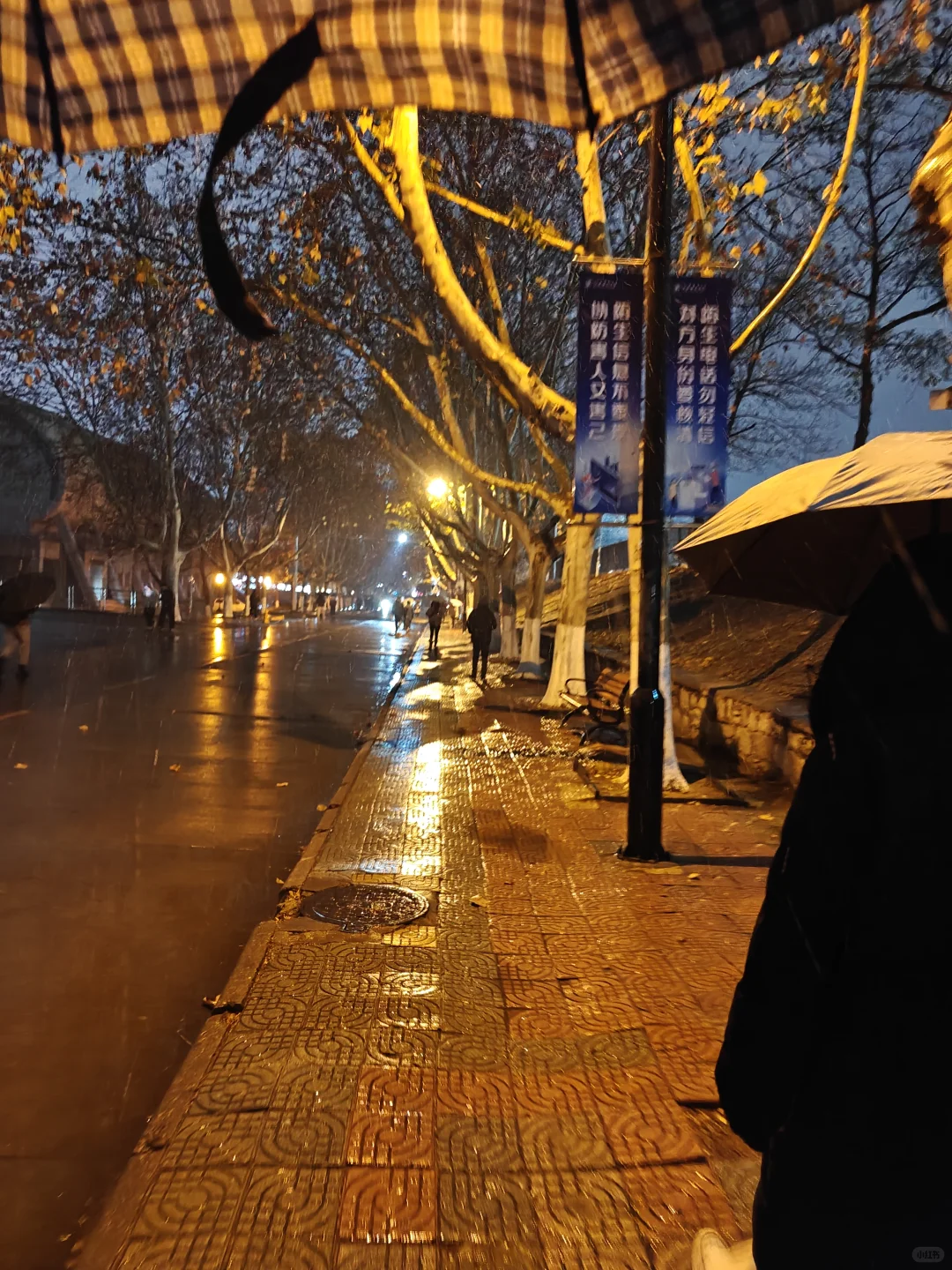 坐标jsnu，下雪啦☃️