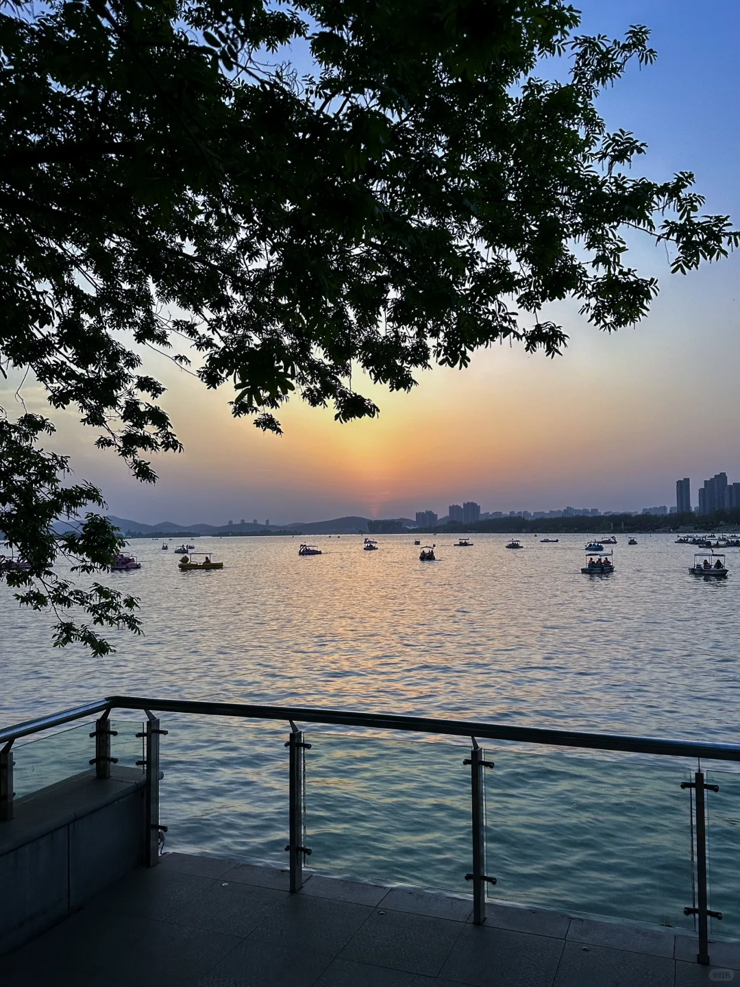 徐州是一场巨大的lalaland。。。