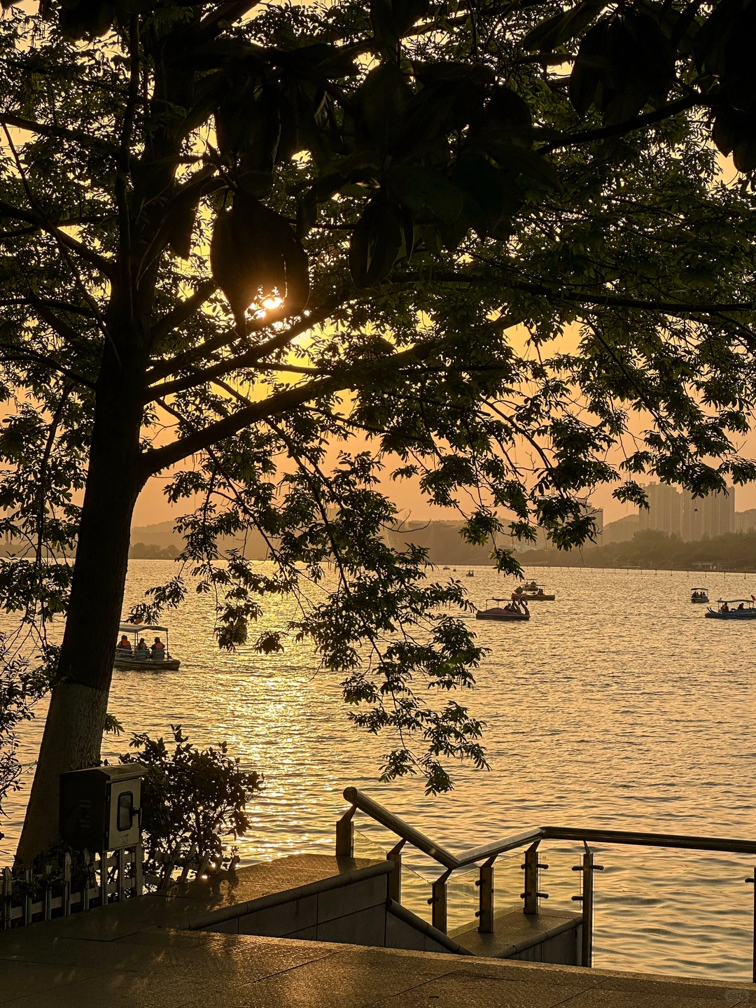 徐州是一场巨大的lalaland。。。