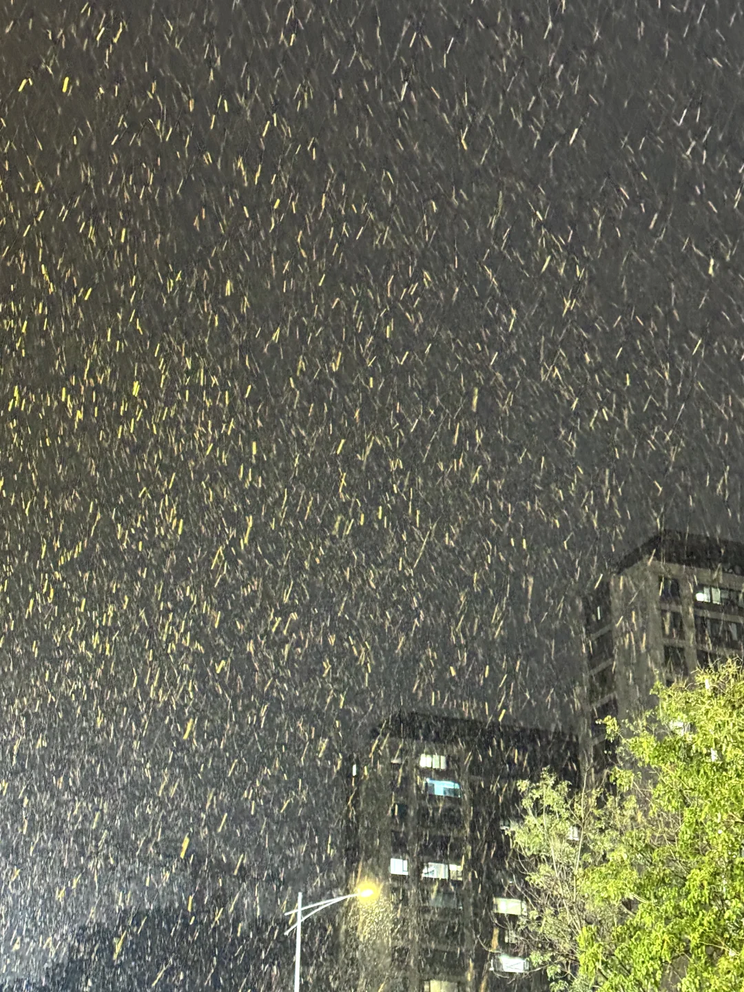 徐州下雪啦❄️看看你拍的雪吧～