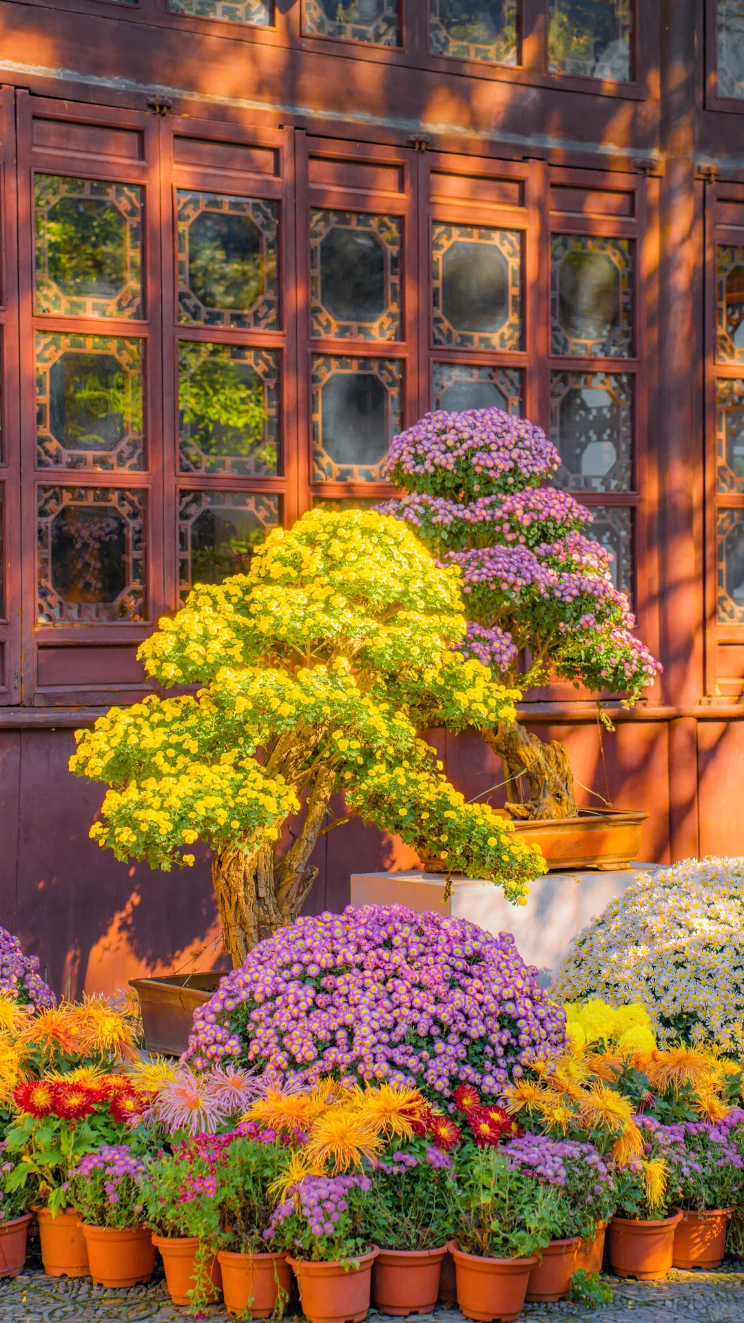 永远惊叹于老祖宗骨子里不灭的极致审美！！