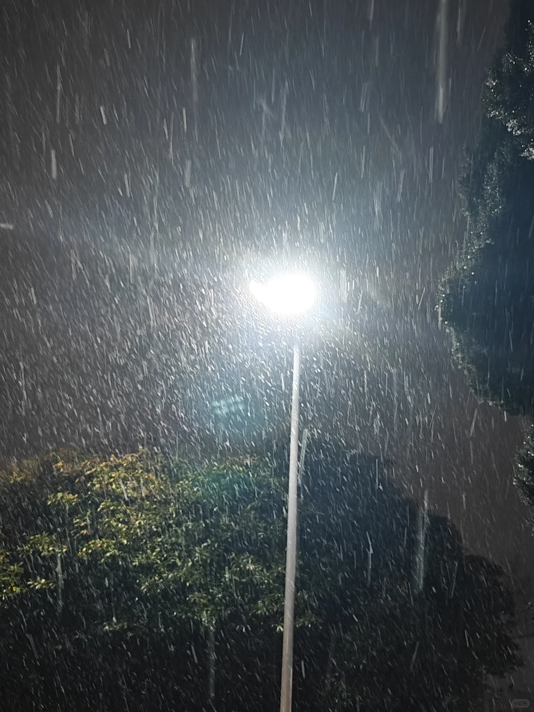 坐标jsnu，下雪啦☃️