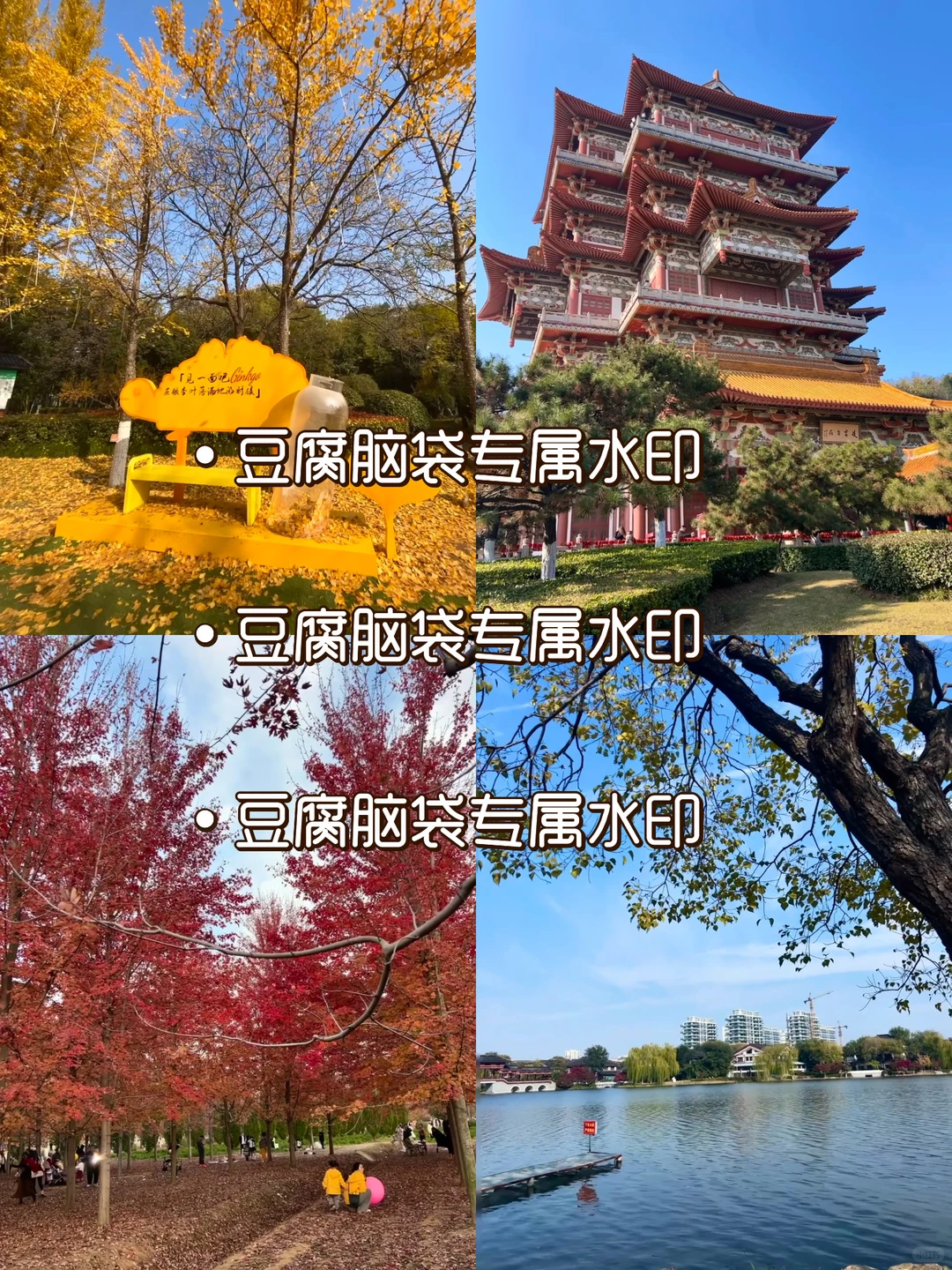 徐州🥬价地陪（大降米版）