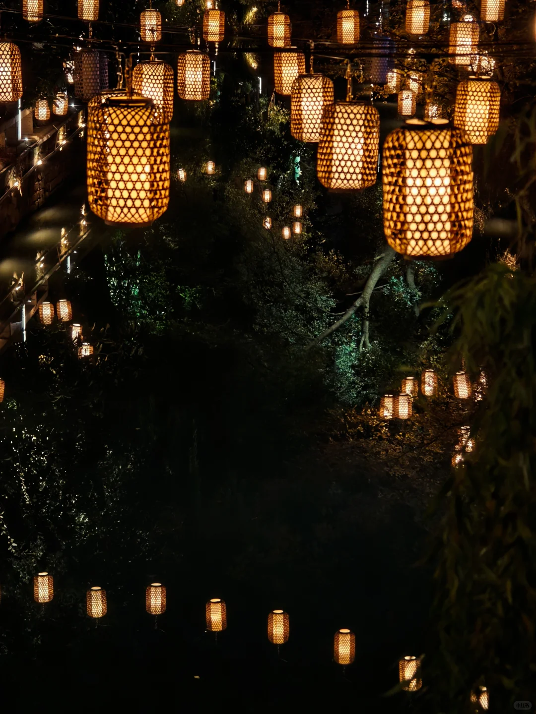 你们苏州人吃的也太好了